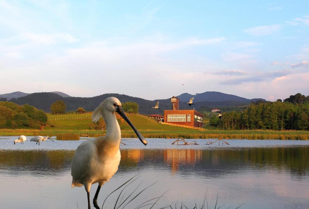 Adosado En La Costa Con Excelentes Vistas Al Estuario De Urdaibai Villa Mundaka Dış mekan fotoğraf